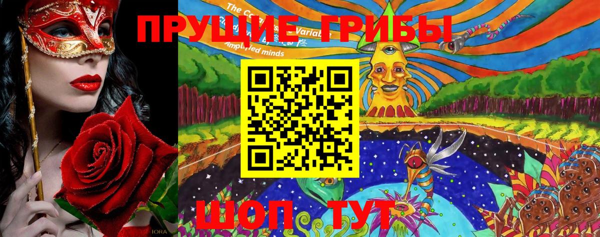 Галлюциногенные грибы Cubensis Тара