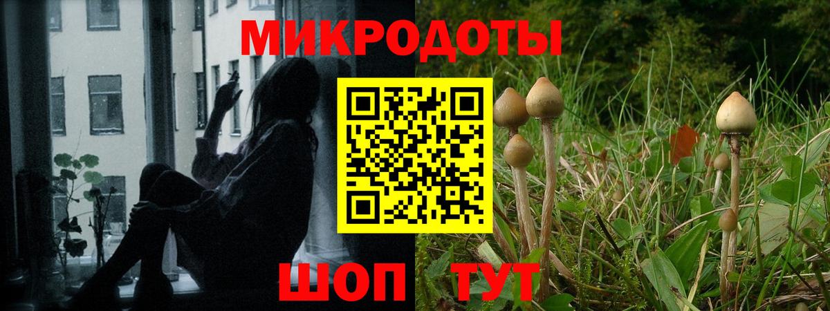 Галлюциногенные грибы Psilocybine cubensis  Вход с VPN  Тара  Псилоцибиновые грибы прущие грибы 
